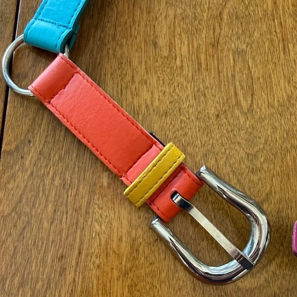 Vintage Express belt